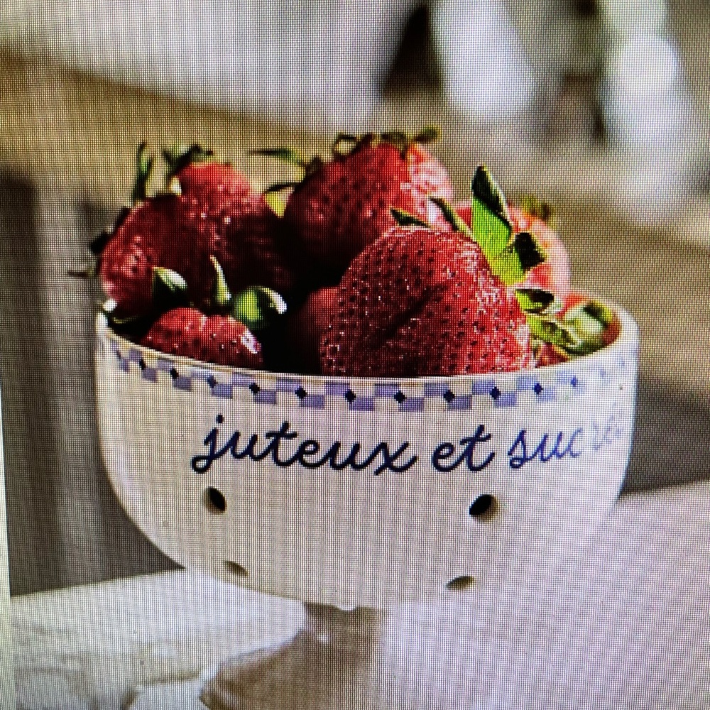 ❤️ ANTHROPOLOGIE VIOLETTE HANDPAINTED STONEWARE BLUE BERRY BASKET NEW